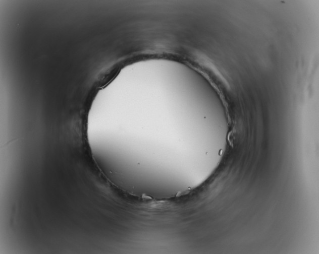 X0000092051304200709262002