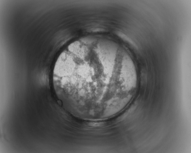 X0000092051305200709262002