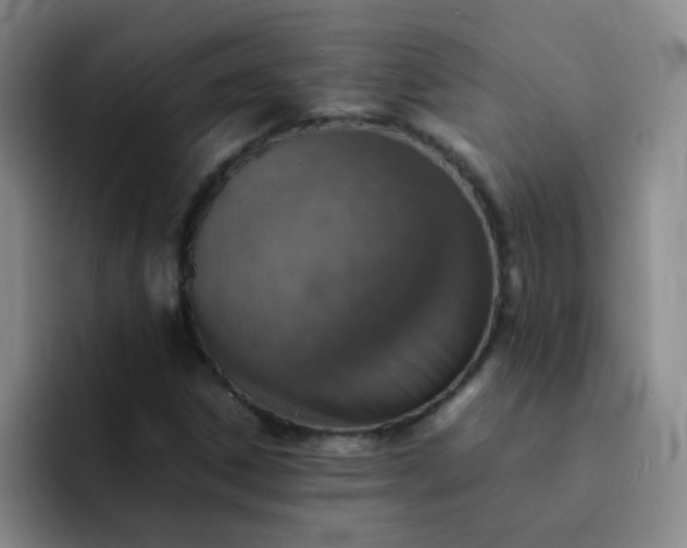 X0000092051306200709262002