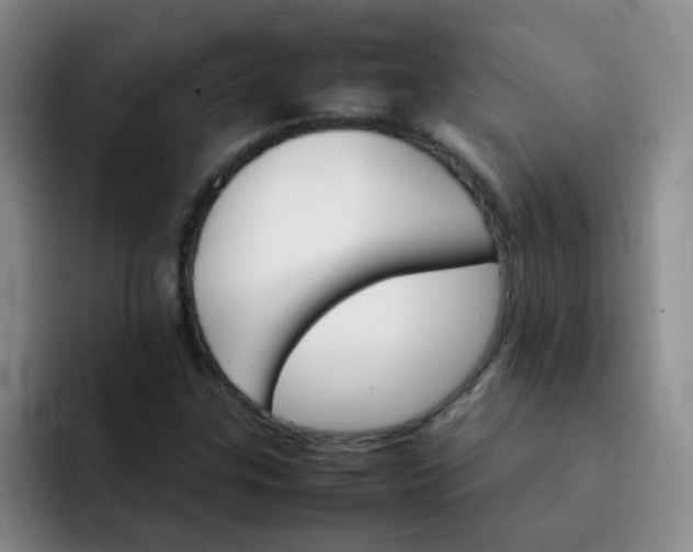 X0000092051307200709262002