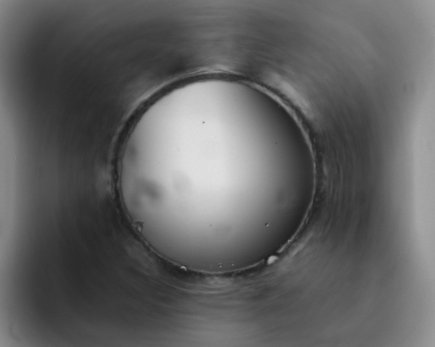 X0000092051308200709262002