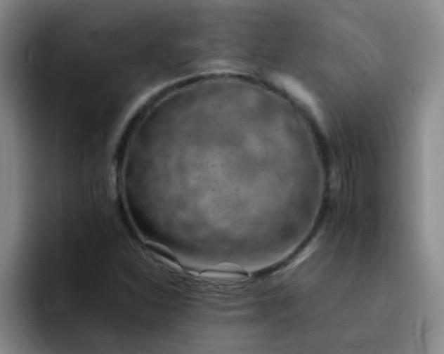 X0000092051310200709262002