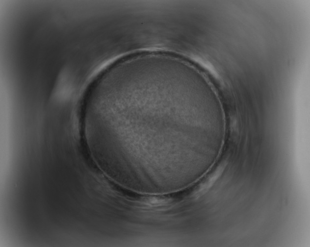 X0000092051311200709262002