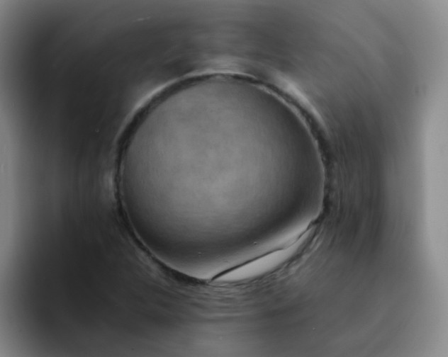 X0000092051312200709262002