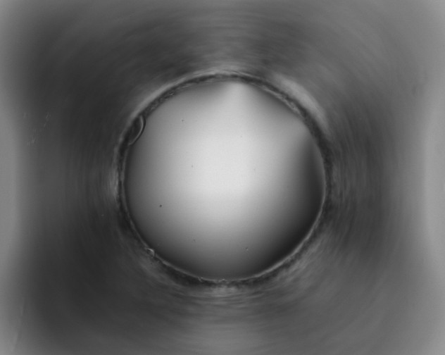 X0000092051316200709262002