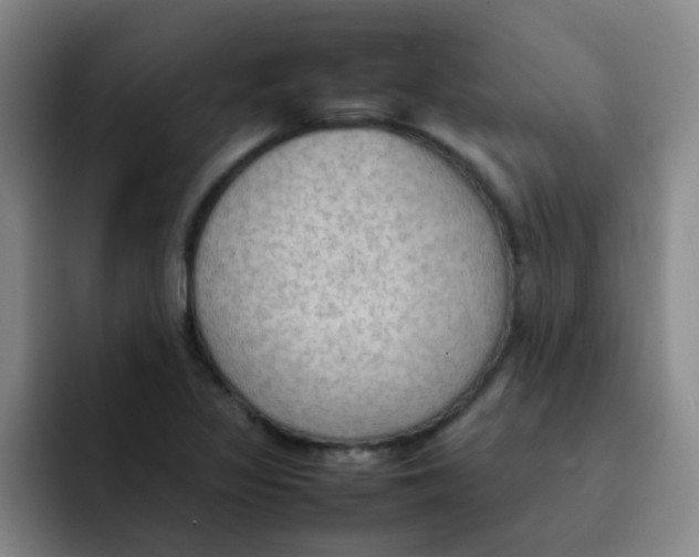 X0000092051317200709262002