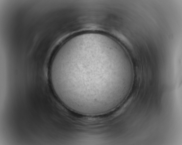 X0000092051318200709262002