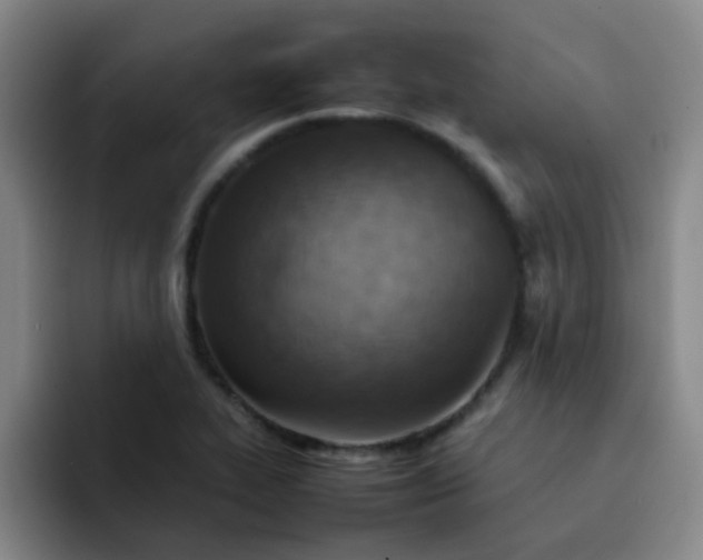 X0000092051319200709262002