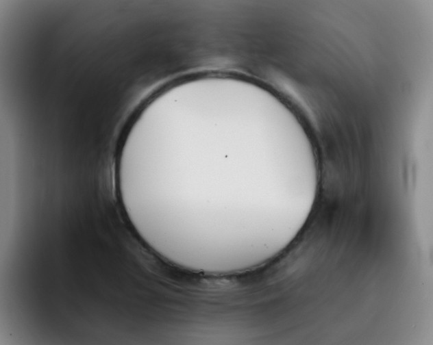 X0000092051320200709262002