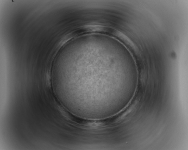 X0000092051321200709262002