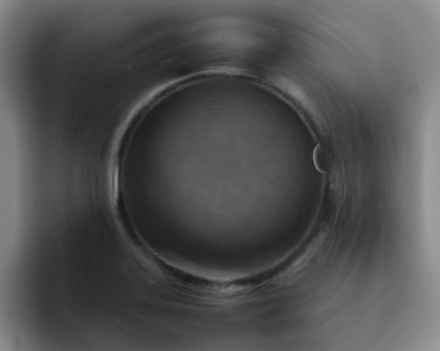 X0000092051323200709262002