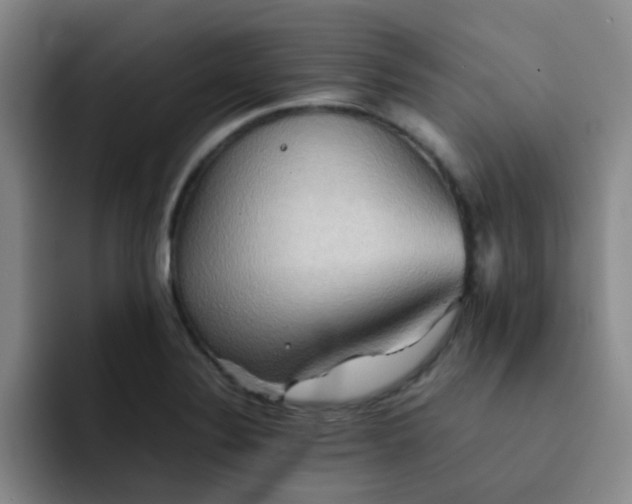 X0000092051324200709262002