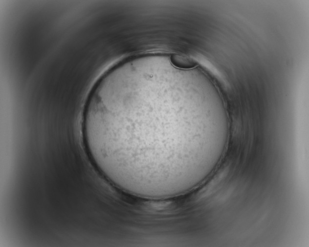 X0000092051325200709262002