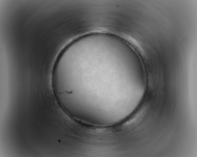 X0000092051326200709262002