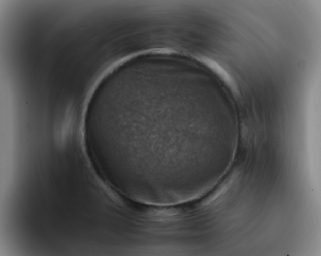 X0000092051327200709262002