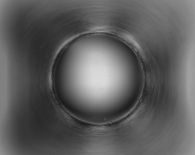 X0000092051328200709262002