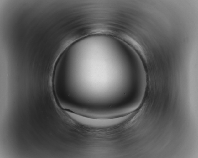 X0000092051330200709262002