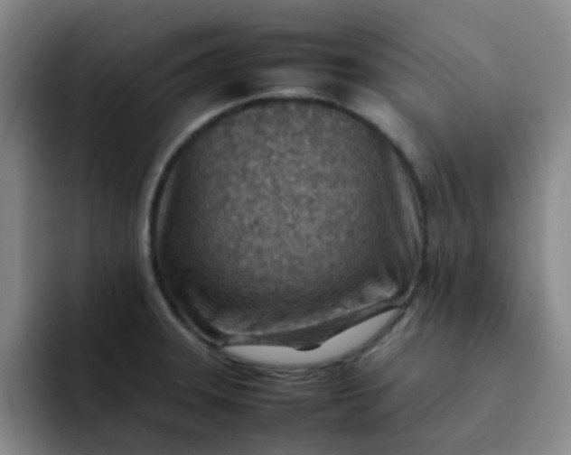 X0000092051331200709262002