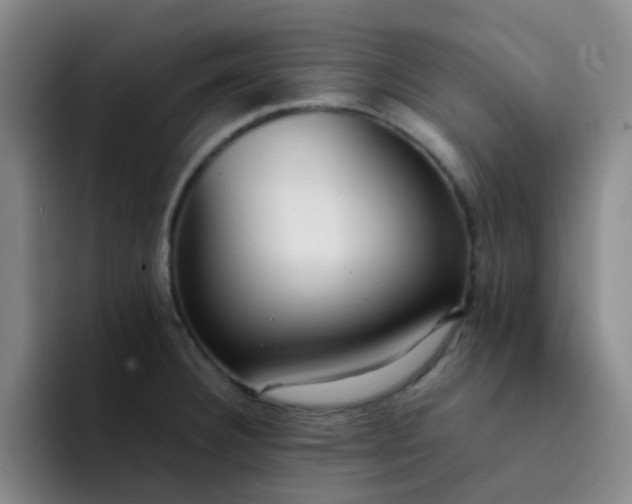 X0000092051332200709262002