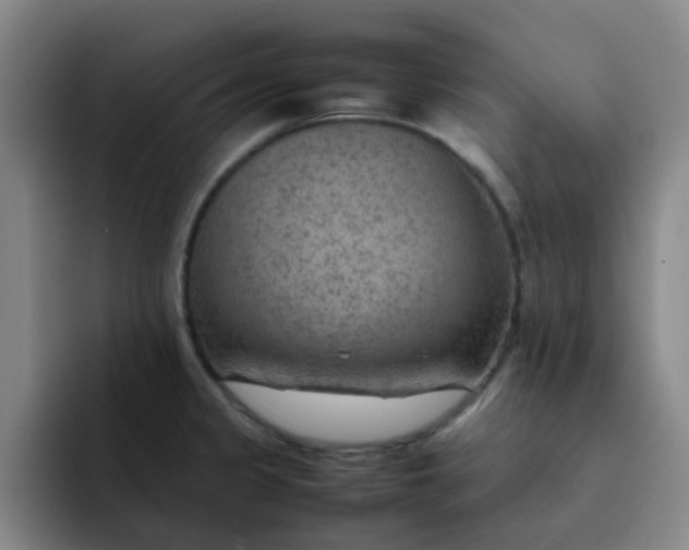 X0000092051333200709262002