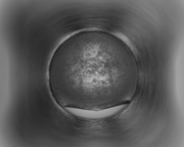 X0000092051335200709262002