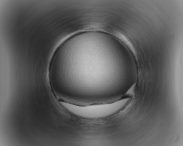 X0000092051336200709262002