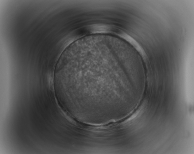 X0000092051337200709262002