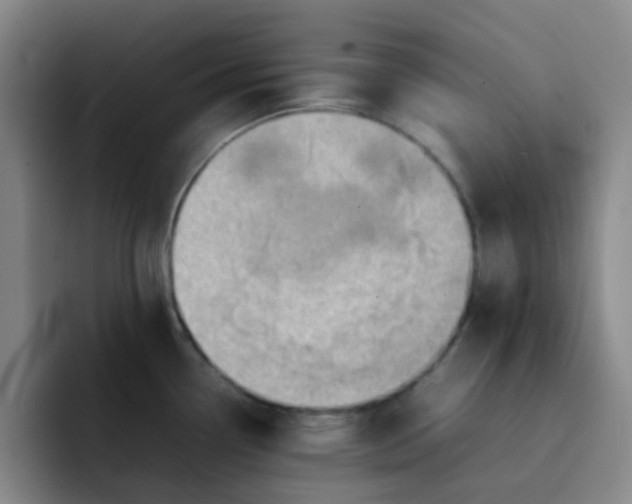 X0000092051338200709262002