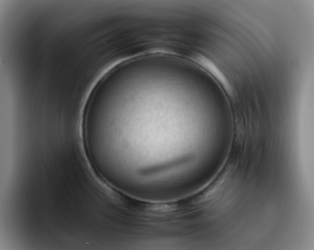 X0000092051339200709262002