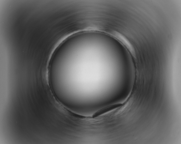 X0000092051340200709262002