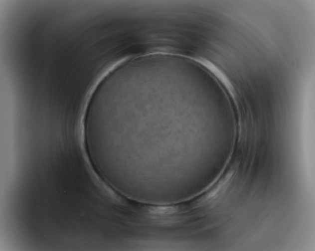 X0000092051341200709262002