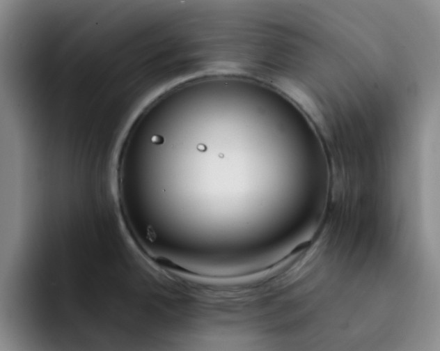 X0000092051342200709262002