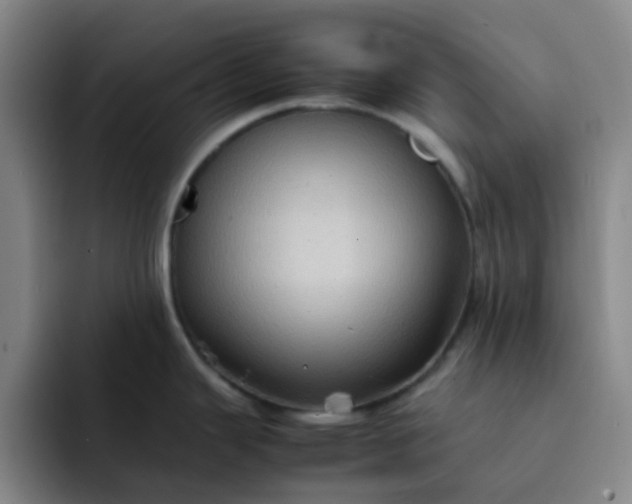 X0000092051343200709262002