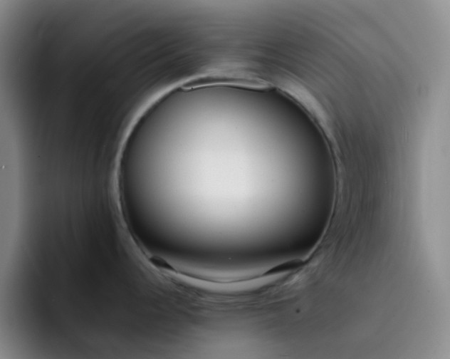 X0000092051344200709262002