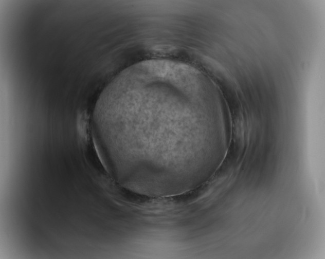 X0000092051346200709262002