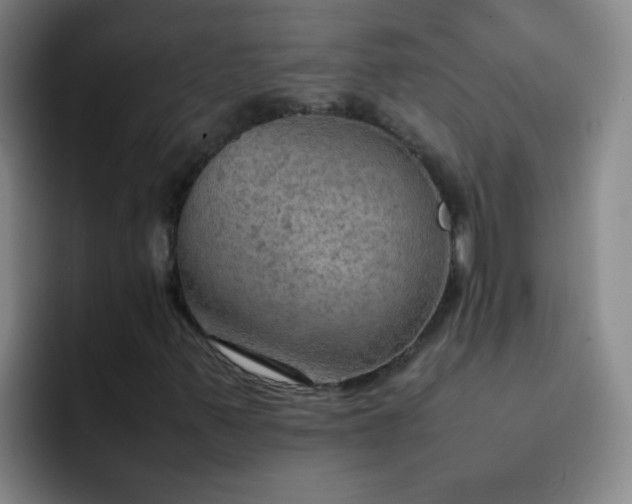 X0000092051347200709262002