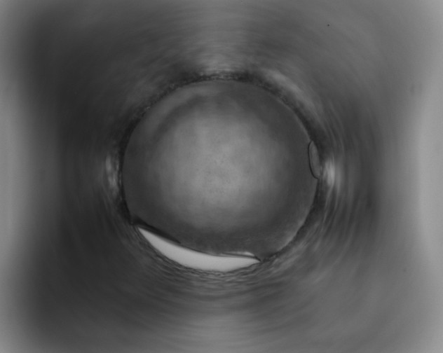 X0000092051348200709262002