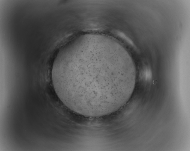 X0000092051350200709262002