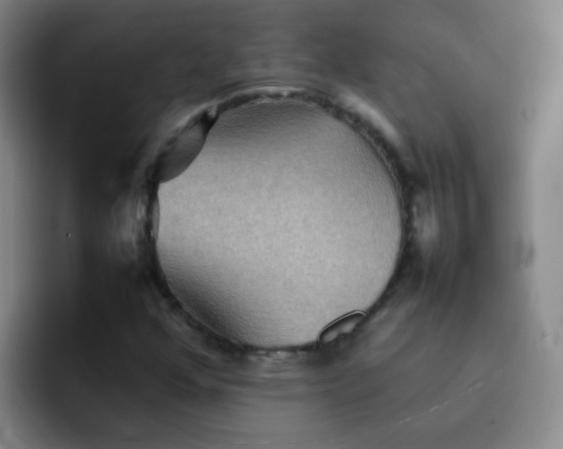 X0000092051352200709262002