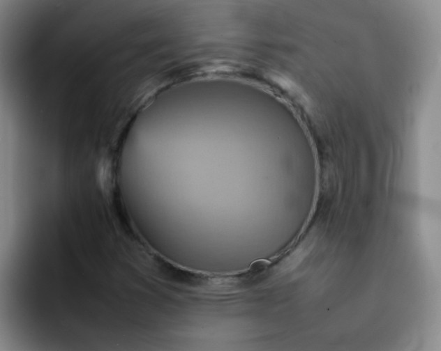 X0000092051353200709262002