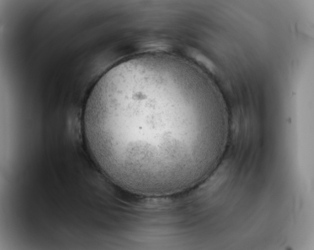 X0000092051354200709262002