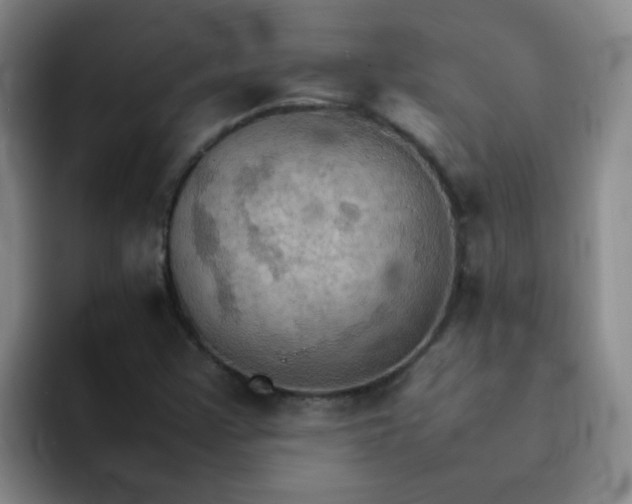 X0000092051355200709262002