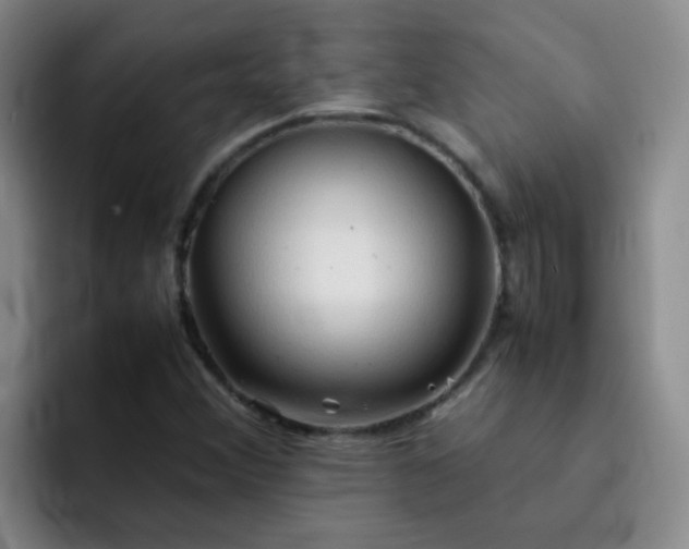 X0000092051356200709262002