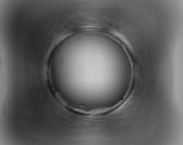 X0000092051357200709262002