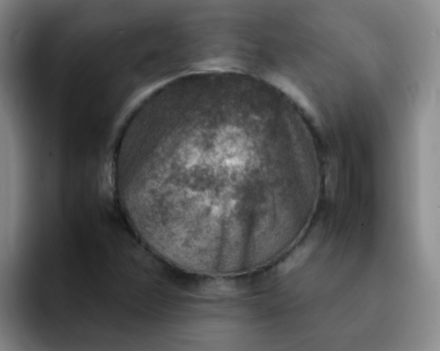 X0000092051358200709262002