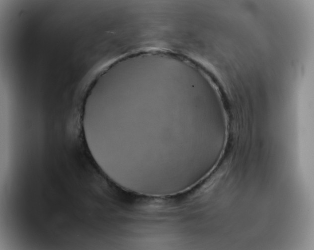 X0000092051359200709262002