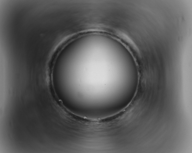 X0000092051360200709262002