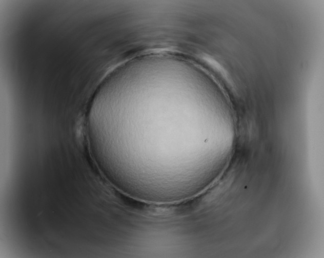 X0000092051361200709262002