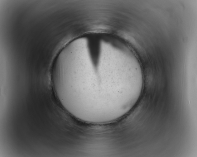 X0000092051362200709262002