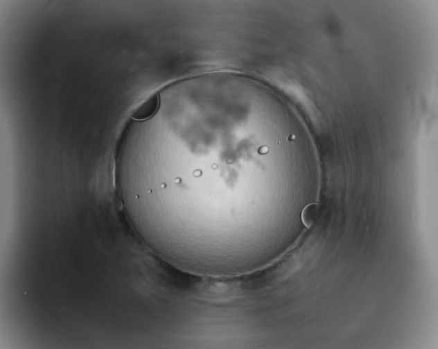 X0000092051365200709262002